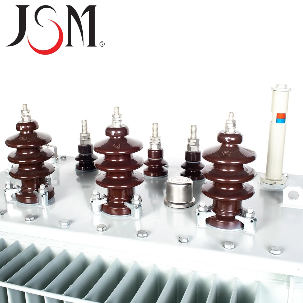 Jsm S9-20kVA/11kv Oil Immersion Transformer Distribution Transformer